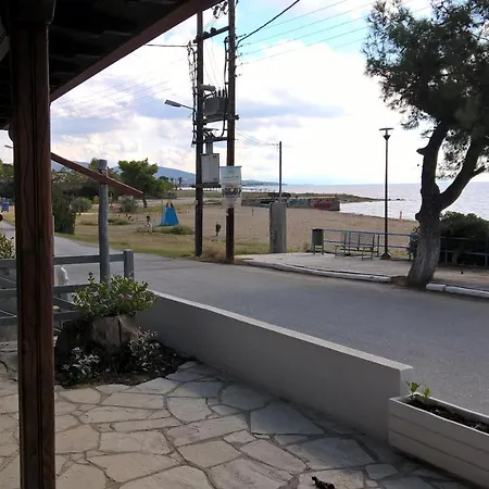 Gkoloi & Kalyves Polygyrou