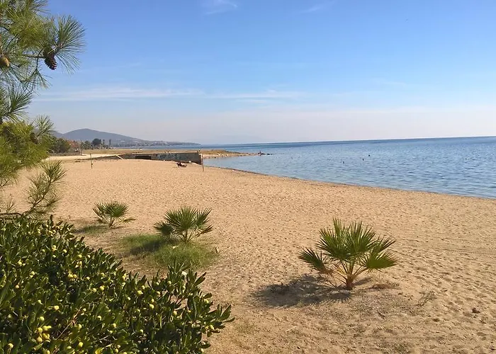 Gkoloi & Kalyves Polygyrou