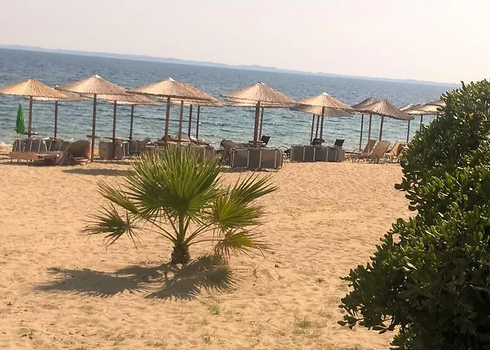 Gkoloi & Lejlighed *