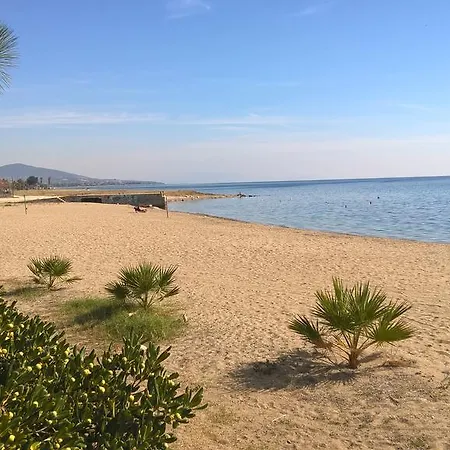 Gkoloi & Kalyves Polygyrou