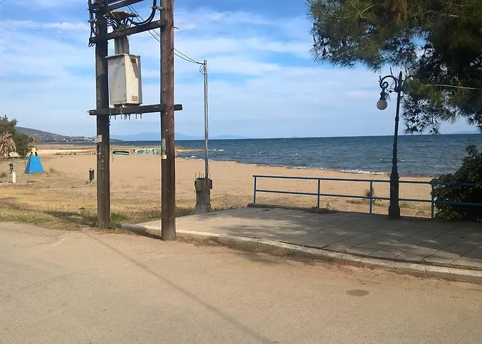 Gkoloi & Apartamento *