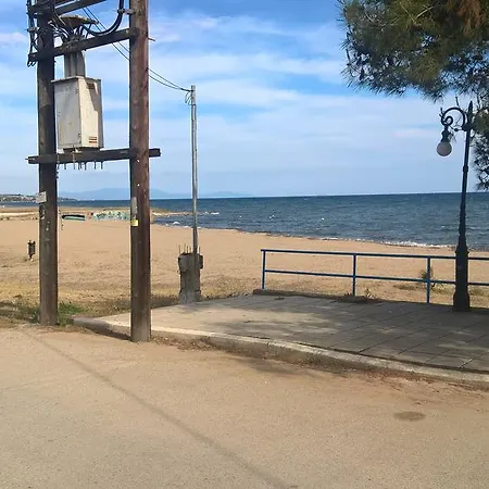 Gkoloi & 아파트 *