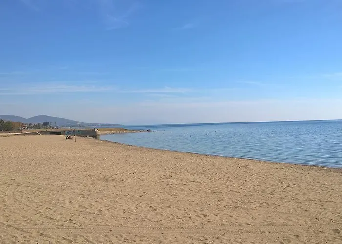 Gkoloi &